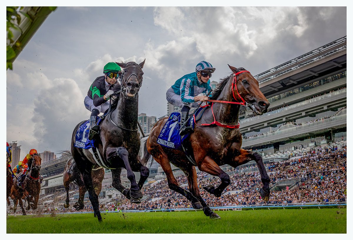 A_Evers's tweet photo. If only they had run in this sweet spot for the finish. 

Romantic Warrior and Deep Monster under the winning post for the first time. 

#TripleCrown | #LoveRacing | #HKracing I #ロマンチックウォリアー I #ディープモンスター https://t.co/daStn7ds3D