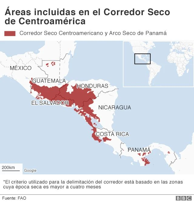 abf_sv's tweet photo. La contribución de Bukele a El Salvador: emparejar el corredor seco a todo el país https://t.co/NcryB0NoVs