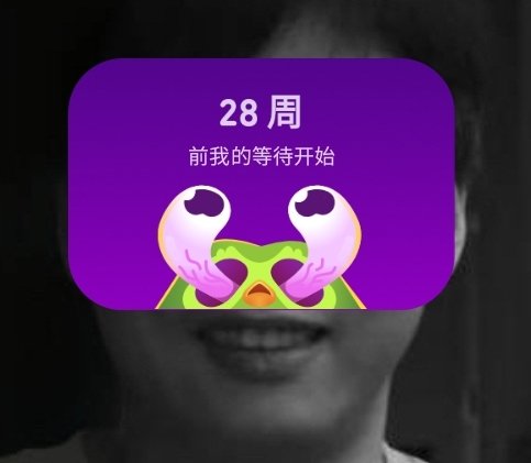 hal__lee's tweet photo. 安装了多邻国但是一直不用，还在桌面加了小部件，就是为了看这只猫头鹰为了催我学习玩出的各种花样。 https://t.co/SPe8zGoIH0