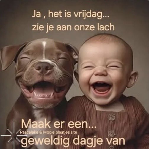 🌞Henk🏖 tweet media
