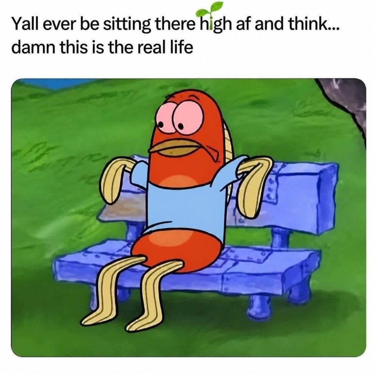 Stoner Jesus™ tweet media