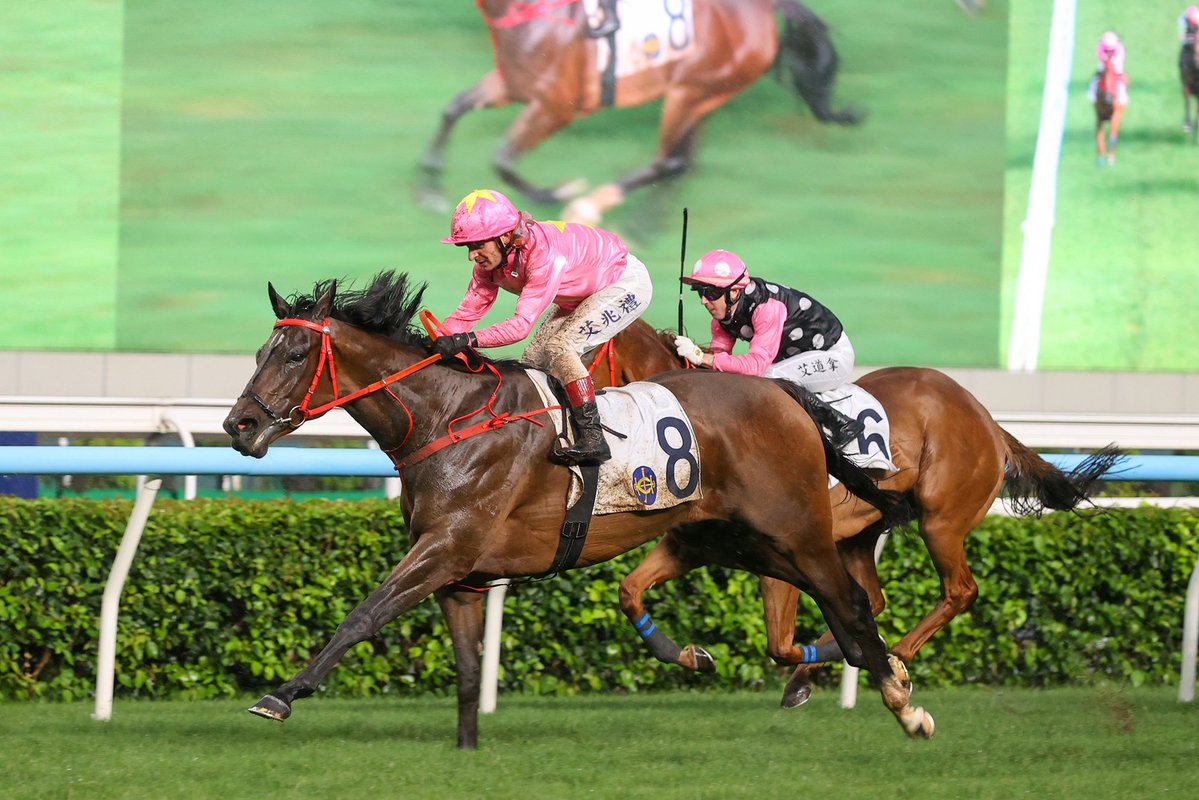 HKJC_Racing's tweet photo. Sky Jewellery and Patch Of Stars bid to continue rise in Group 3 features. #LoveRacing #HKracing 

@pjrydo writes.

Read here 👉 https://t.co/JtMolVwlH5 https://t.co/CLUjoHrJDB