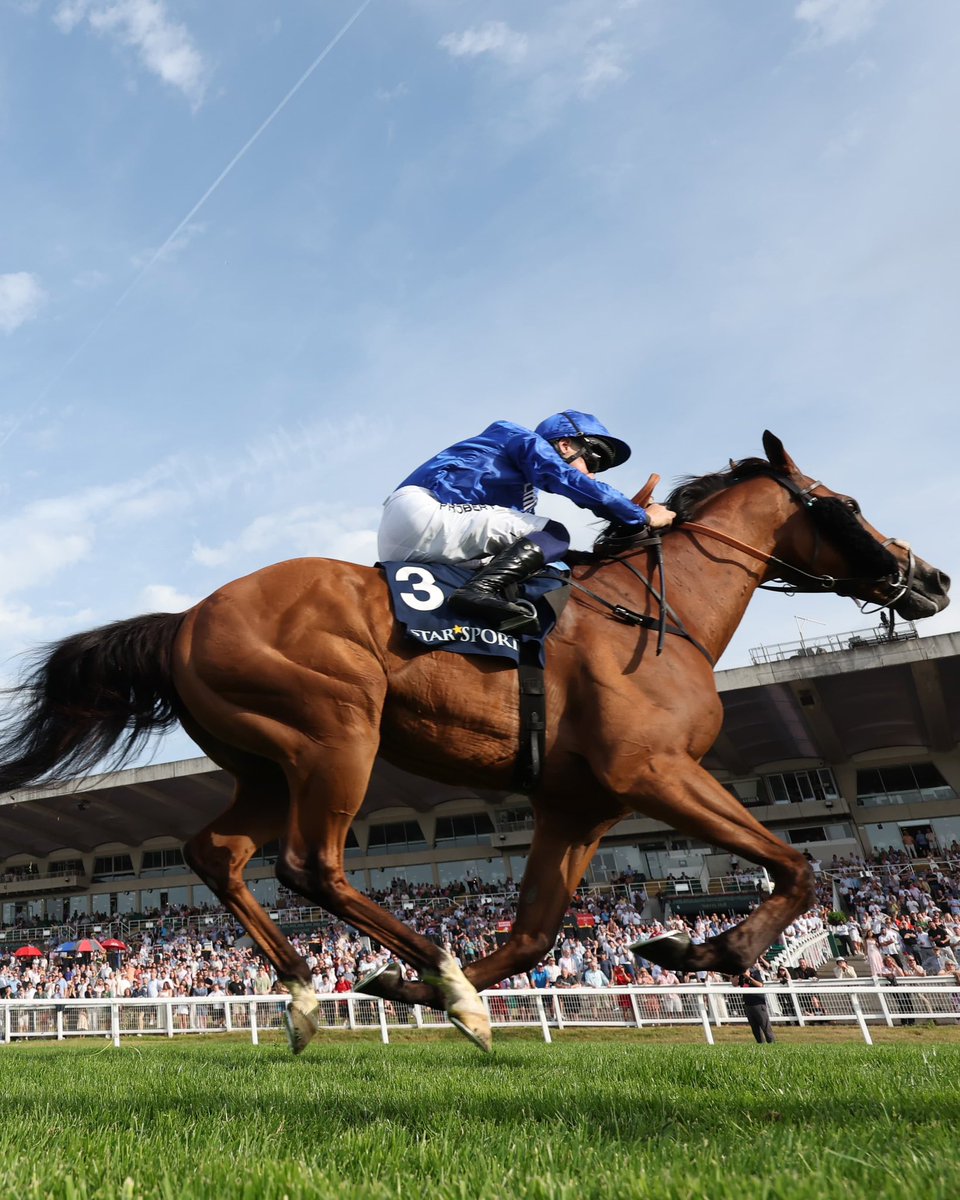 Dubai Racing Club (@RacingDubai) / Posts and Replies / X