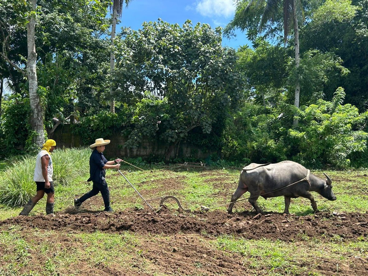 SynodofSA's tweet photo. Over the past few days, our UCA representatives have been attending the Quadrennial Conference of the United Church of Christ in the Philippines.

They also enjoyed meeting with UCCP leaders over dinner, visiting a communal farm, and touring the city of Tacloban. https://t.co/XOC4RjXcfL