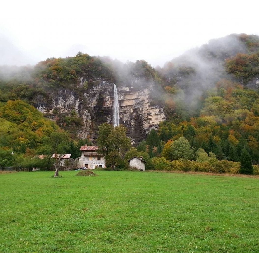 parcoDF's tweet photo. ALCUNI SEGRETI DEL PARCO NATURALE DOLOMITI FRIULANE
LEGGI IL NUOVO POST SULLA NOSTRA PAGINE Facebook/dolomitifriulane

Ph.
Laura Fagioli
Antonio Cossutta
Angelica De Damiani
Fabiano Bruna
Marco Kulot

#segreti #parchinaturali #naturadascoprire #montagnadavivere #friuli https://t.co/ttLShye5fb