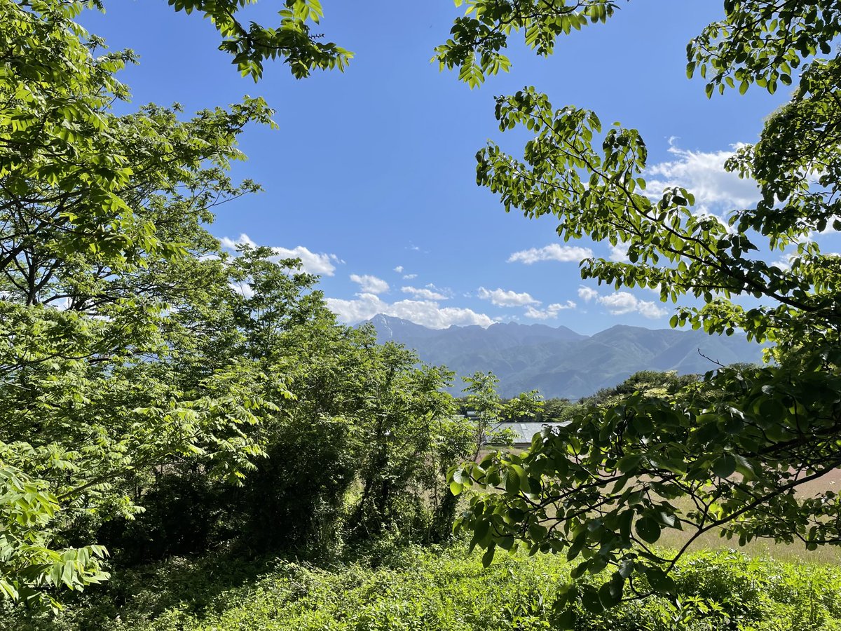 fujiwara,daisuke tweet media