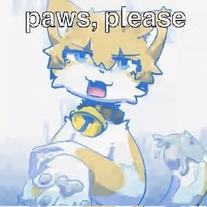 love_everynyan's tweet photo. https://t.co/XVnbnKhDiR