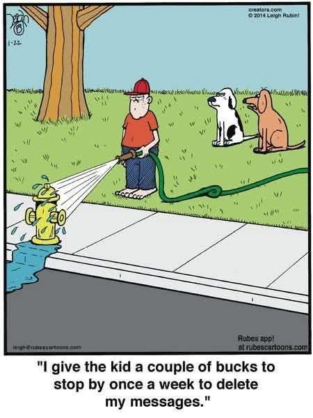 Georgemummysboy's tweet photo. 😂🤣😂, 🐶 https://t.co/mdOyTGK57C