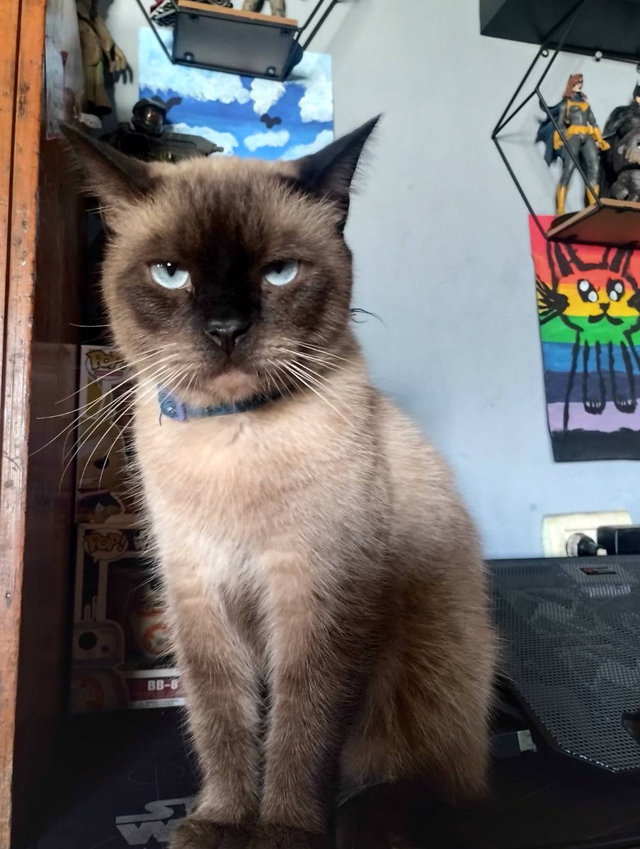 PereaApolo's tweet photo. Amigo mío espero que mis ancestros te guíen de nuevo a casa, para que llegues ya sea en una mañana, en una tarde o en una noche y en donde te esperen aquellos que te amaron . https://t.co/A8qj2LtGzY