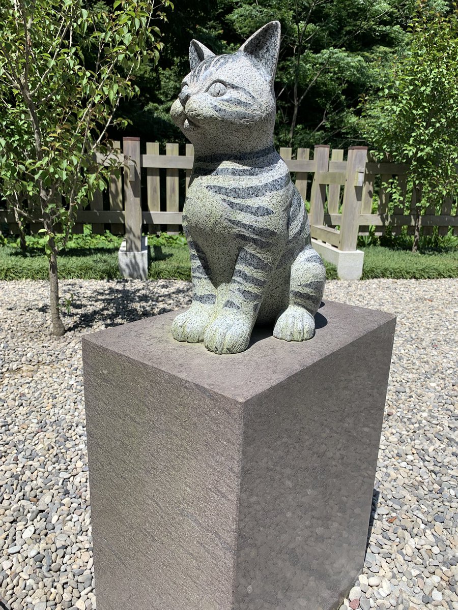 Sheile's tweet photo. 猫神社というだけに狛犬ならぬ狛猫。
絵馬も猫の長生きを願うものが多かった。 https://t.co/26L5nIMtAK