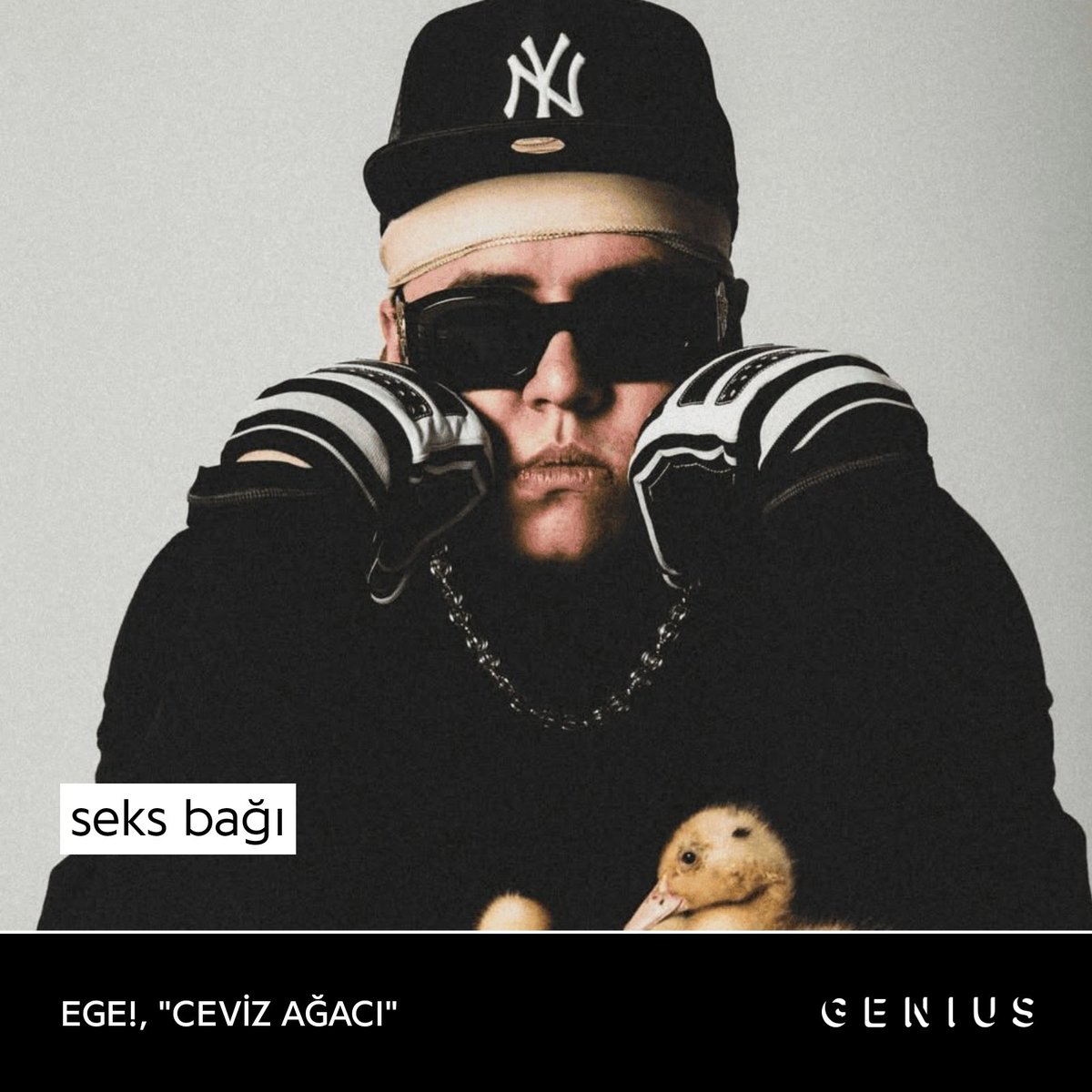 emir2m #PASAJ tweet media