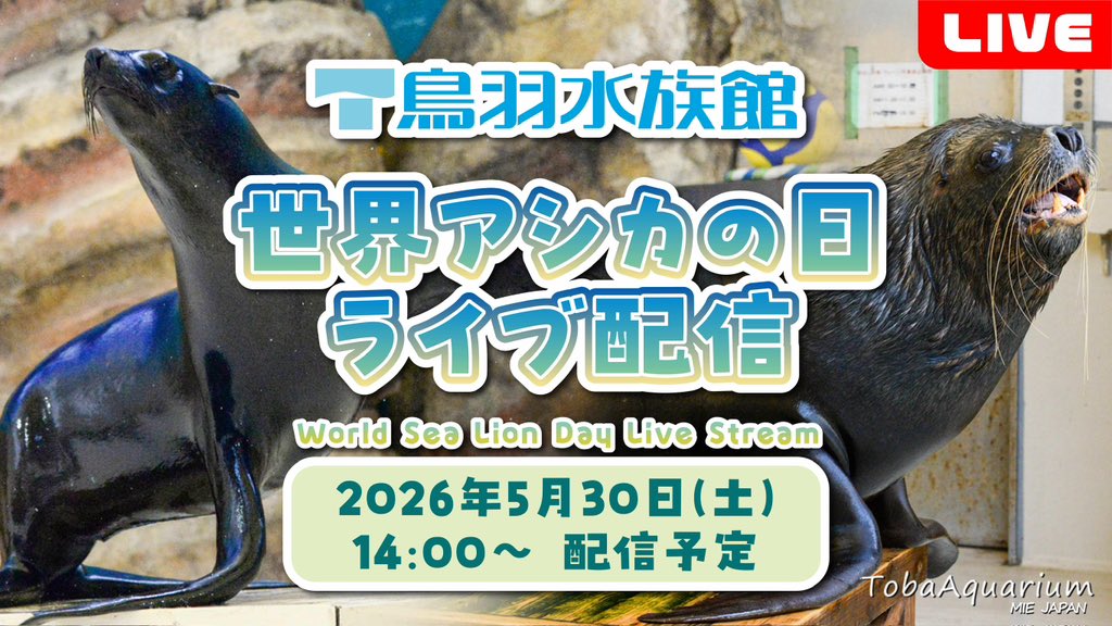 TOBA_AQUARIUM's tweet photo. 5/30(土)14時から「世界アシカの日」にちなんだYouTubeライブ配信を行います🤎
是非ご覧下さい😊
配信はこちらから▶️ https://t.co/AL2AYGjO7v

#鳥羽水族館 #世界アシカの日 https://t.co/o4LHHNj053
