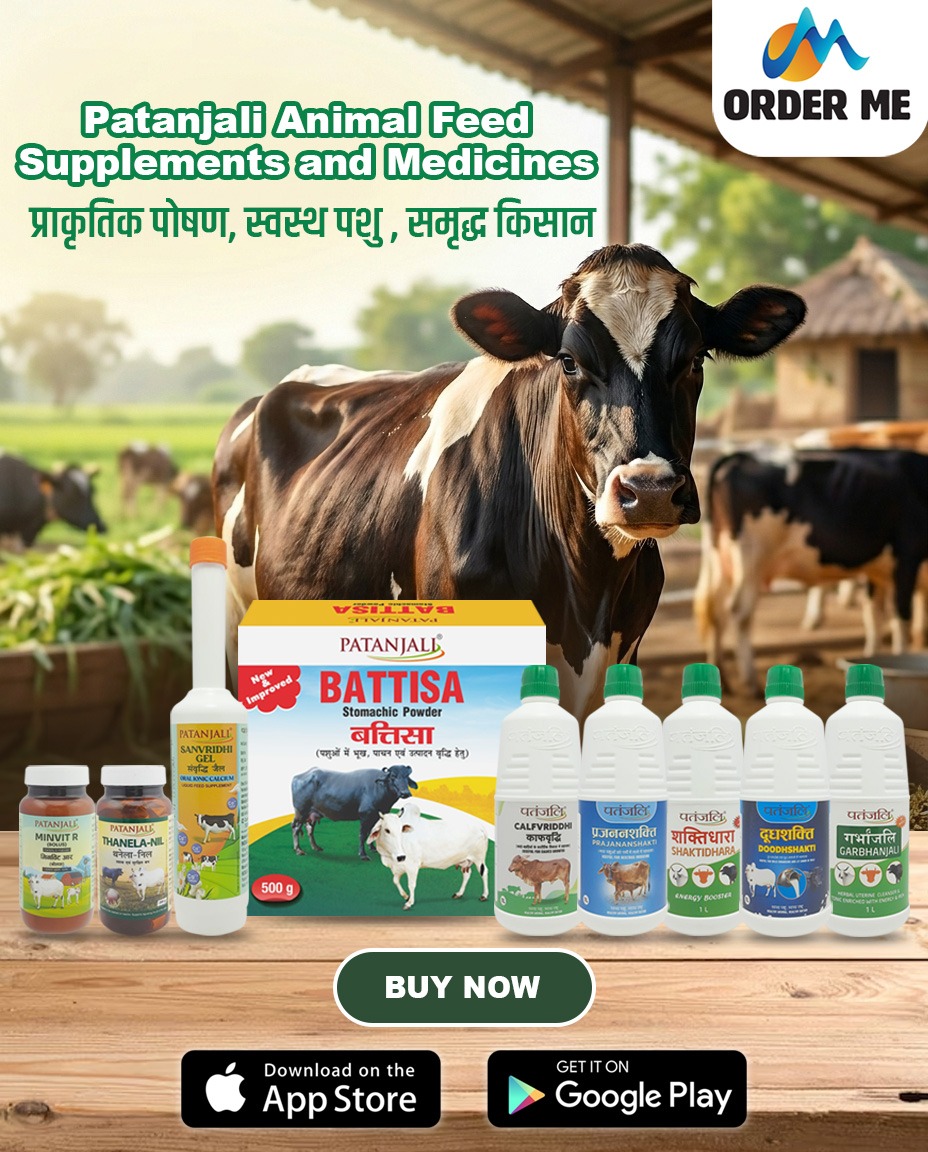 Order__me's tweet photo. अब पशुओं की बेहतर देखभाल हुई और भी आसान!
पाएं Patanjali Animal Nutrition &amp; Medicines अब आसानी से Order Me App पर 📲

आज ही डाउनलोड करें Order Me App और अपने पशुओं का रखें पूरा ध्यान! 🚚🐄

#Patanjali #AnimalNutrition #VeterinaryMedicine #CattleCare #DairyFarm #AnimalHealth https://t.co/0rkECRCXDc