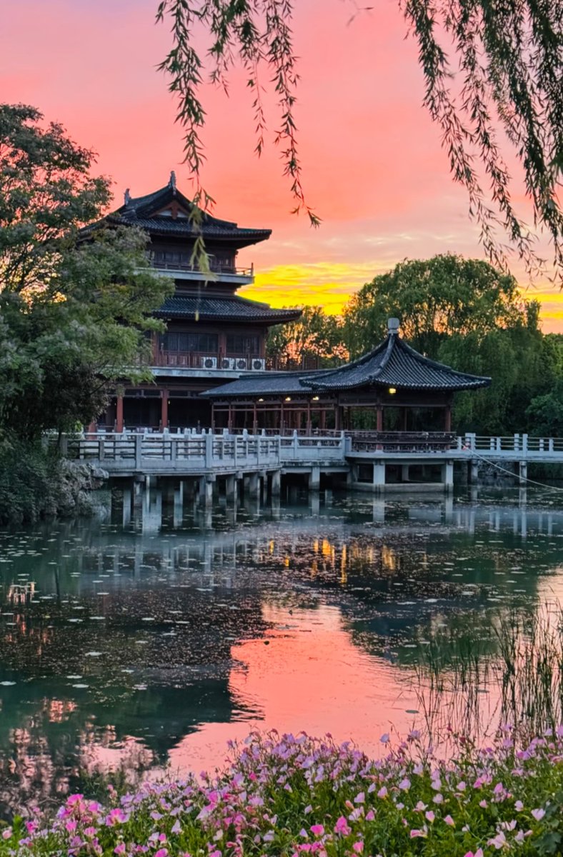Lula881115's tweet photo. Suzhou's sunset glow
I'm utterly mesmerized by this sunset glow.
#SunsetGlow #GoldenHour #StunningSunset #SunsetAndTwilight #FireCloudsAtDusk #EveningGlow https://t.co/jyXBD6hPLf
