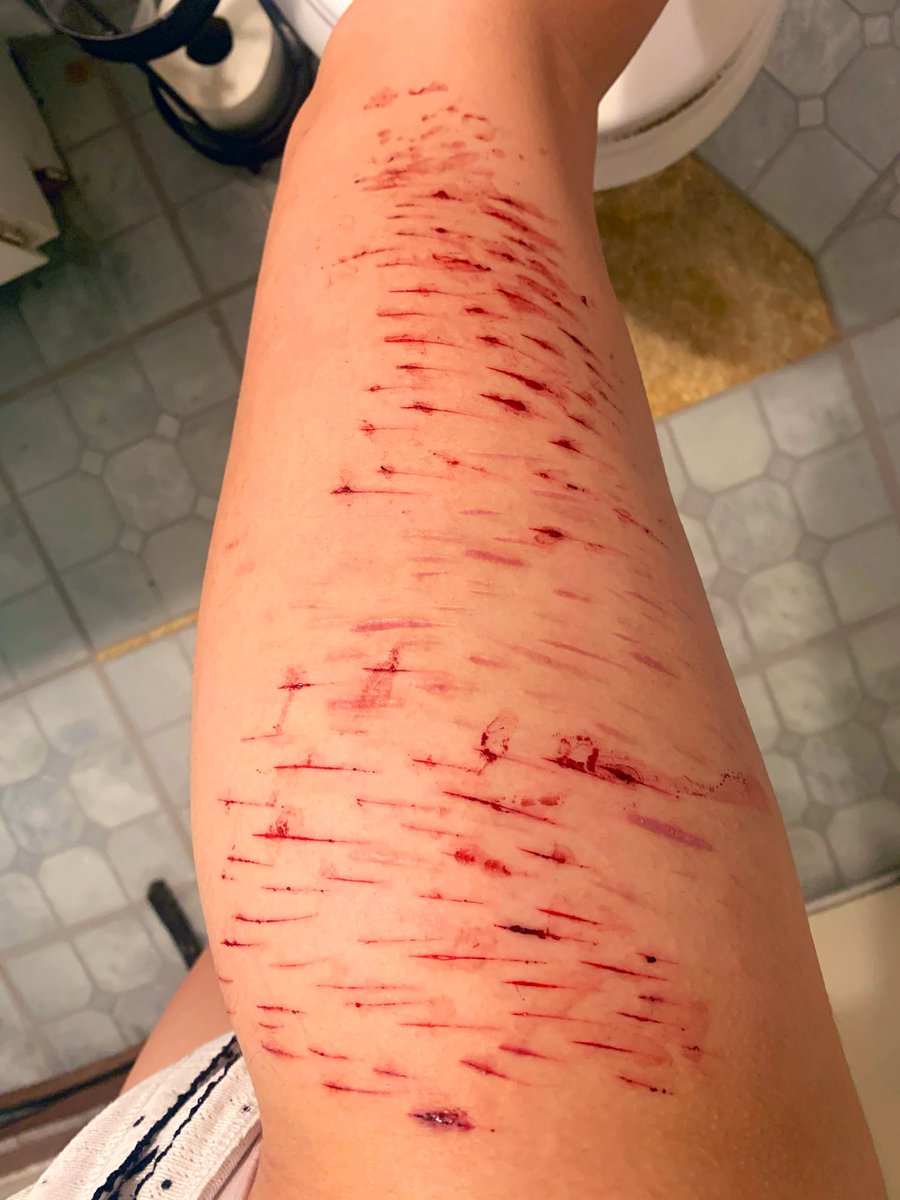 appeleico's tweet photo. holy lord... session aftermath

makeup sfx #slittwt #988twt https://t.co/qJnePNjQGi