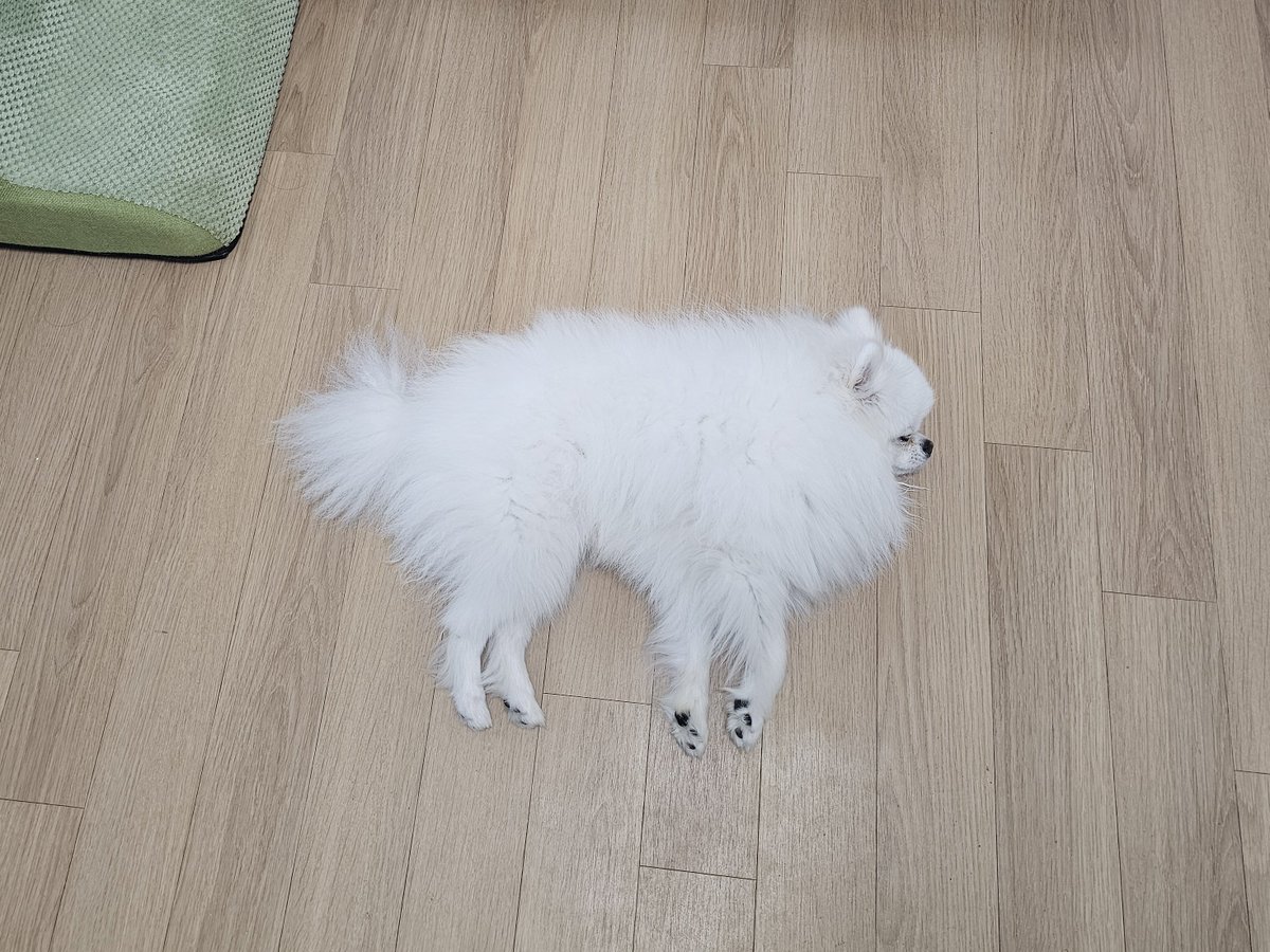 HODU_is_dog's tweet photo. 작품명: 에어컨 개시 https://t.co/ITQqLhXIkl