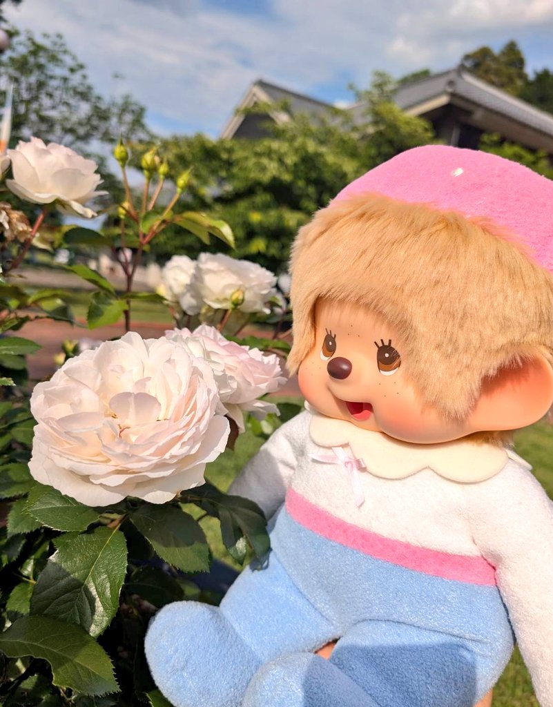 DebiDebiKuma's tweet photo. 今日も暑い！！
でも楽しい〜
#モンチッチ https://t.co/EkfcNZnzuU