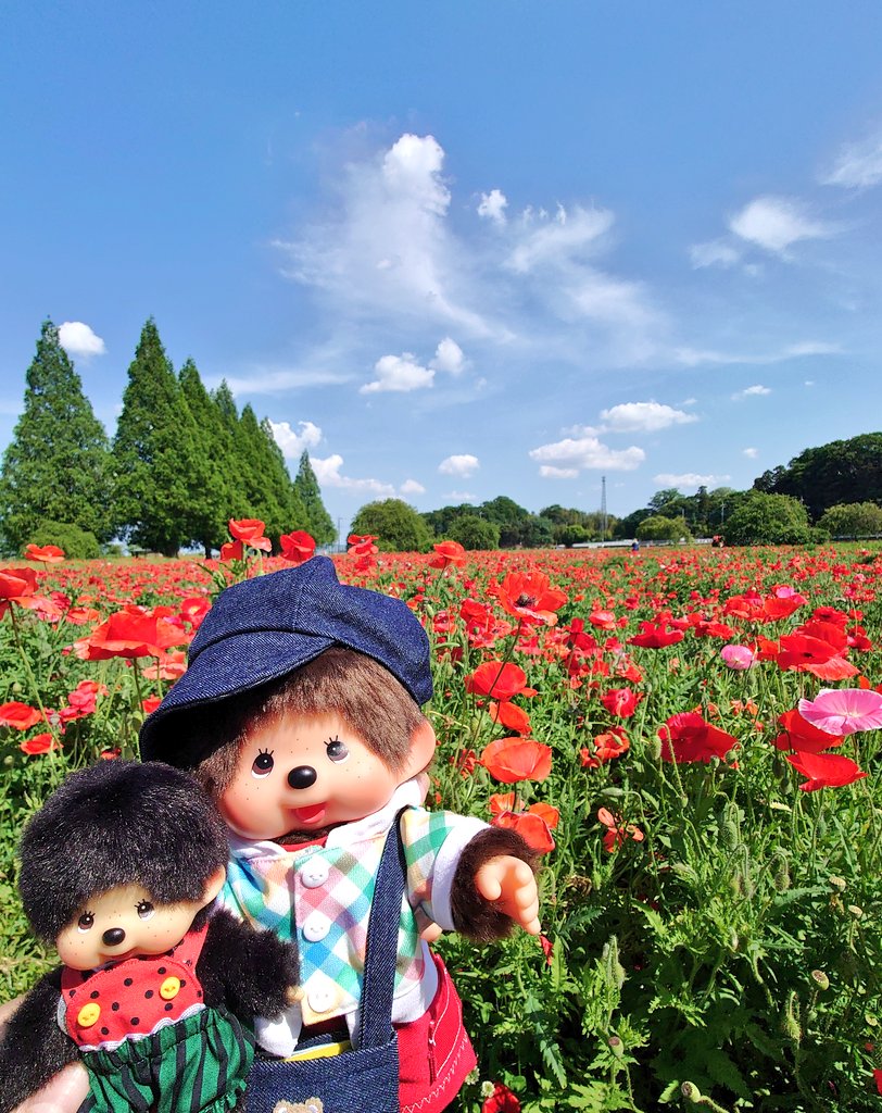 DebiDebiKuma's tweet photo. 今日も暑い！！
でも楽しい〜
#モンチッチ https://t.co/EkfcNZnzuU