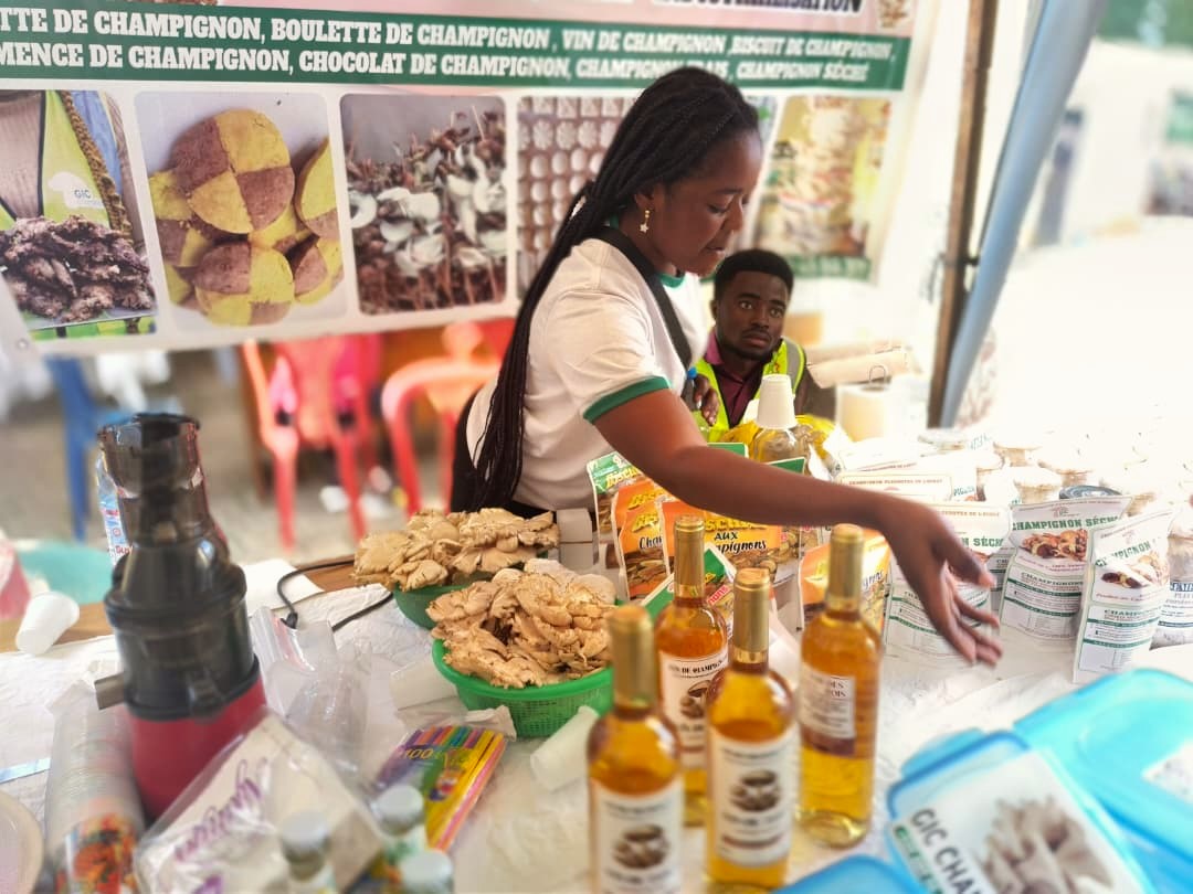 ghsscm's tweet photo. 🍄 Meet the Mushroom Common Initiative Group from Bafoussam, Cameroon — young farmers who turned struggle into opportunity with a little support and a lot of determination. Here's their story. 🧵👇 https://t.co/kDWor48ZbH