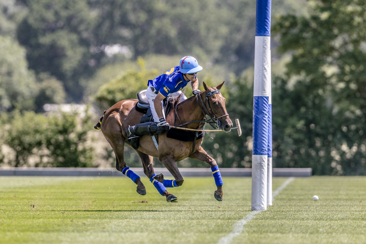 intlpolo's tweet photo. Cartier Queen’s Cup: Today - Signet/Segavas vs La Dolfina/Marques De Riscal, Gaston vs White Crane, Aureus vs Cibao La Pampa/Murus Sanctus

Latest - Balanz Capital 16-10 Akasha, 📸 Park Place 16-7 Shoreline Polo Team

Updates: https://t.co/FHK5nhNWvy

📸 Credit: Art of Polo https://t.co/CWZLma9mAQ