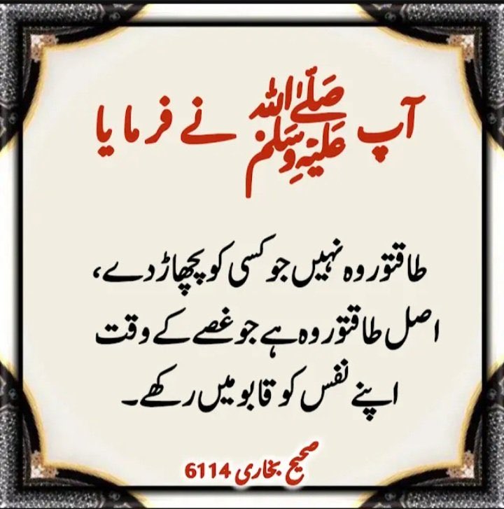 QuranMyriZindgi's tweet photo. اصل طاقت غصے کے وقت خود کو قابو میں رکھنا ہے https://t.co/s6wgi2iUQn