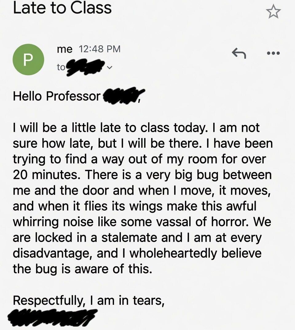 nocontextmemes's tweet photo. https://t.co/WyZ9OeApyZ