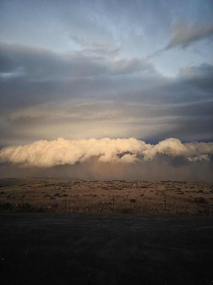 More_Moss_'s tweet photo. Watched a haboob roll in above Quincy, then got blasted by some 60mph tumbleweeds on a severe warned storm. Awesome.

#wawx https://t.co/jMmULO417m