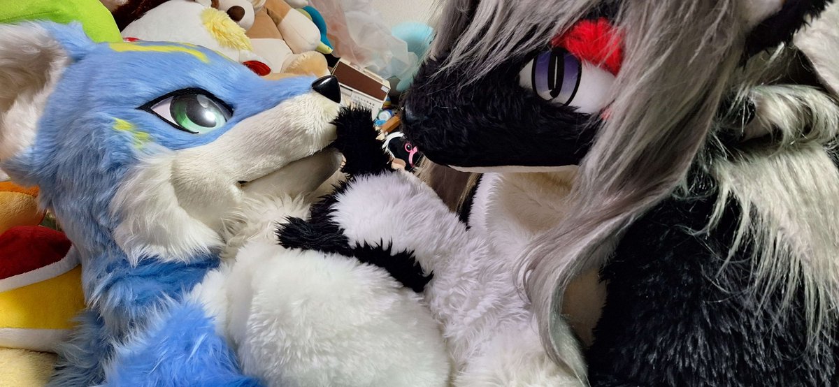 youran2's tweet photo. #FursuitFriday

「今はあなたの方が大きい気がするわ・・・逃がさないわよ・・・」

お相手さん
(@conconkuon ) https://t.co/J1x2RGzIAW