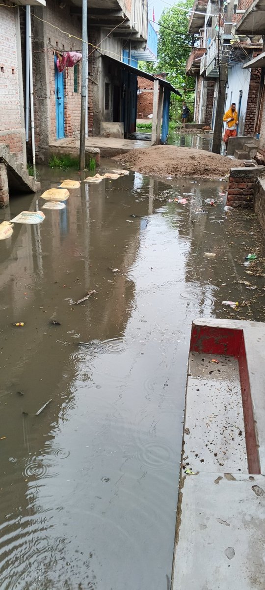 Tappory12's tweet photo. महोदय,
 @bhojpur_dm 
@samrat4bjp 
@officecmbihar 
@BSPCBOfficial 

   यह नाली ग्राम-बुढवल, वार्ड - 03, उत्तरवारी जंगल महाल ,का है,यह पिछले 4 सालों से ऐसे हैं,इसका कोई हल नहीं निकल रहा है, लिखित कंप्लेंट के बाद भी कोई निर्णय नहीं निकला 
महोदय कृपया इस मामला का संज्ञान ले 
धन्यवाद https://t.co/aAPVVm9HtG