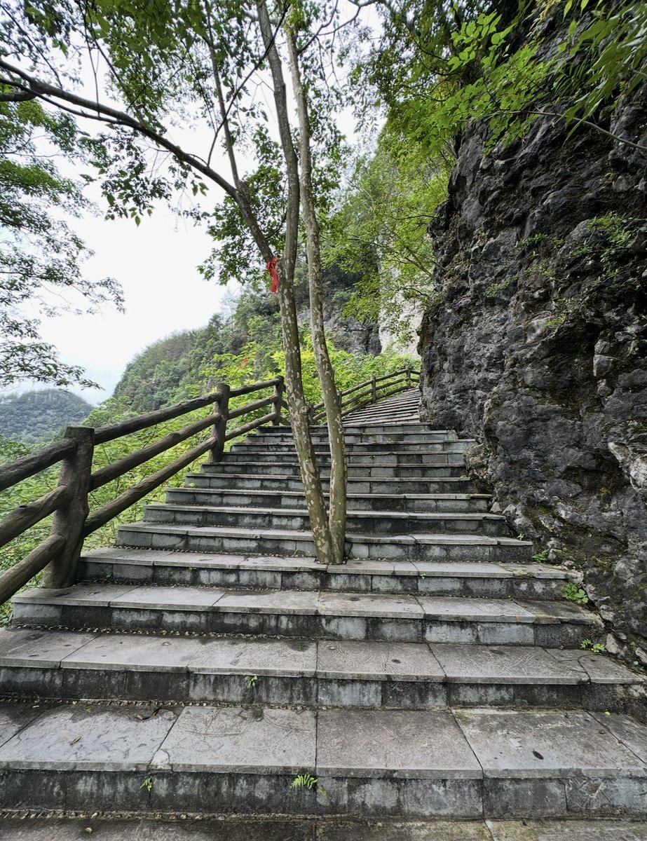 kuushinelm's tweet photo. 【私の趣味・介護・20代・男・中国出身】
旅行やハイキングに出かけます。これからは夏の海に出かけて、砂浜を歩きたいです。自然の中にいると日常を忘れて、悩んでいたことも小さく感じます。日本でも自然を感じる所に出かけたいです。
＃高齢者複合福祉施設　
＃介護のお仕事 https://t.co/S2Y2aSZWcj