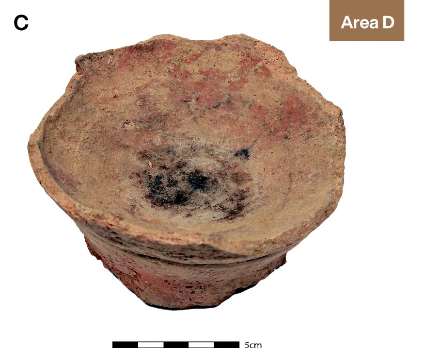 DrHughT's tweet photo. A remarkable discovery from Iron Age Arabia:

At Qurayyah in Saudi Arabia, archaeologists found evidence of an ancient plant linked to both healing and altered states of consciousness.

The archaeology behind this discovery is fascinating.

New video is out later today! https://t.co/KvojaM1koU