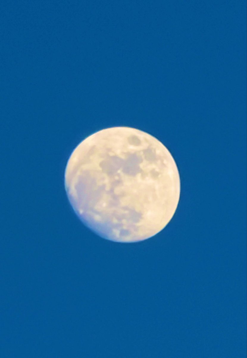 Flawwed1Art's tweet photo. The moon hangs above us like light on loan, reminding the world that even what shines brightly may first be taught by darkness, the value of reflection.

#Karvan #Caravan #StarForge https://t.co/3Pmd9h17O2