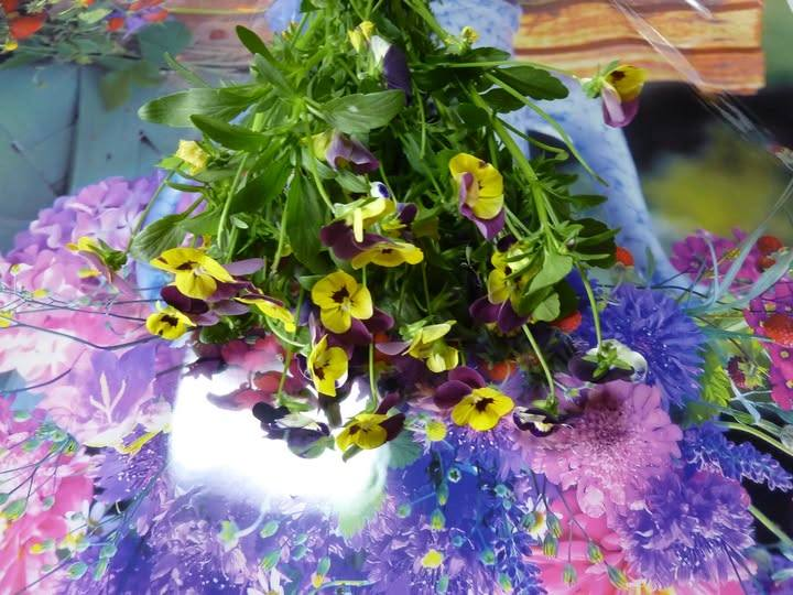 may_kimiko_k's tweet photo. こんにちは。
咲き終わっていくViola.は茎が伸びているので、
花束にして花瓶に飾ります。休憩です🥤 https://t.co/tRRZmdRvNT