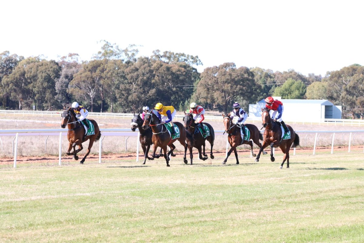 NarranderaRC's tweet photo. We are thrilled to kick off a busy winter of racing &amp; honour a late, great committeman on Saturday, June 13, with the running of our annual LW Peacock Memorial Race Day.

Story 👇
https://t.co/klxRWJDJjq https://t.co/FM4T415qGF
