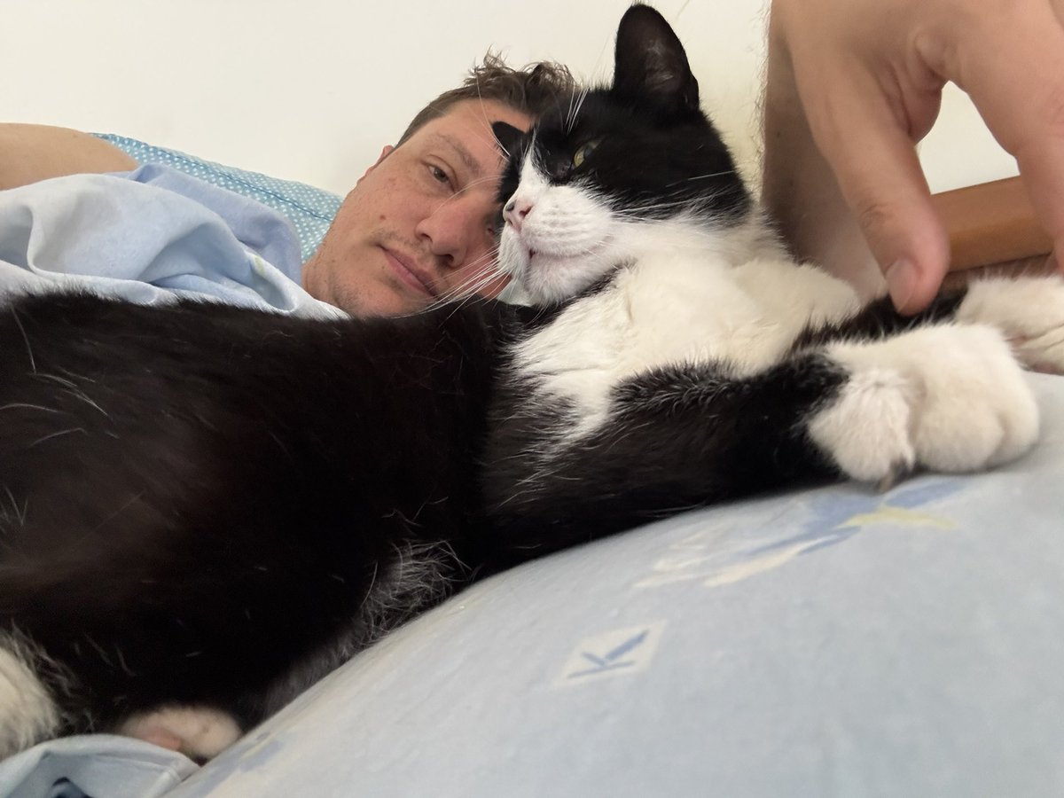 crawling84's tweet photo. @GabrieleGalilea Ti fai un gatto? Il regalo coccole funziona bene 🤣 https://t.co/EkfGkSd3dG