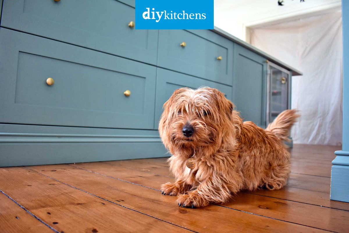 DIY_Kitchens's tweet photo. 🌟 Charles from Hereford shows us his completed Innova Bramley Bespoke Painted #kitchen, supplied by DIY Kitchens (Ref:4384) - https://t.co/lMhkfaX2cQ

Visit https://t.co/mDGIyY2X5f to see how much you could save on your dream kitchen! 

#bramley #shakerkitchen https://t.co/9z9lse1ZvL