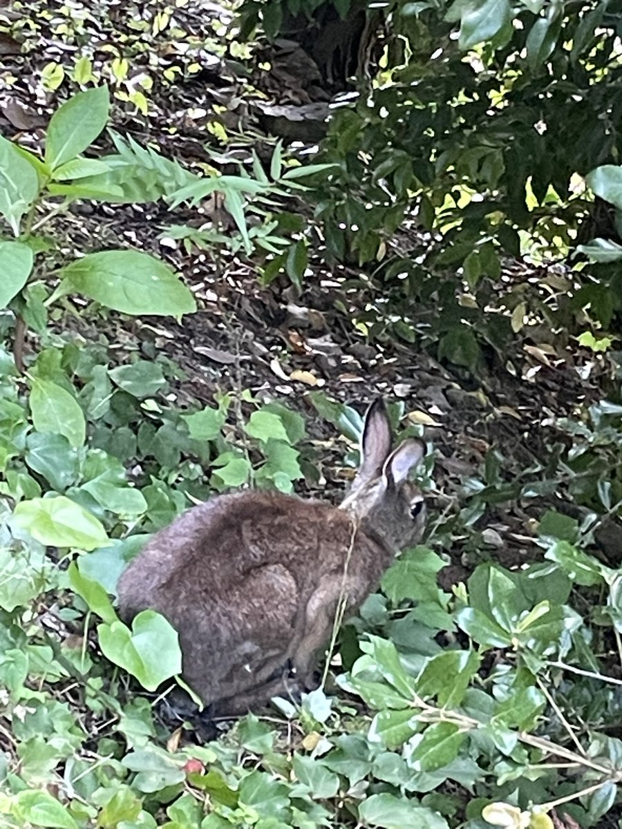 namecube's tweet photo. 🐇 https://t.co/VwFImeC7pW
