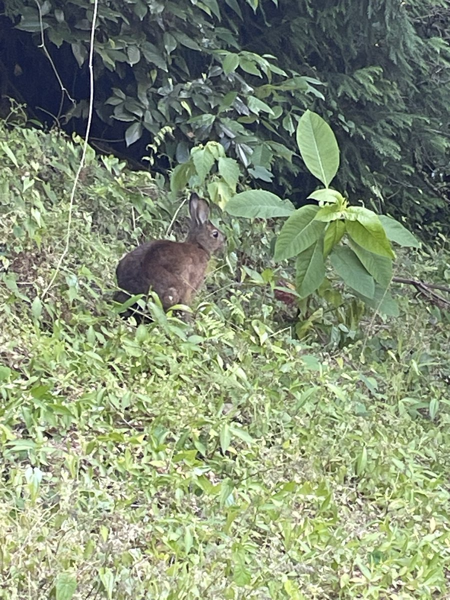 namecube's tweet photo. 🐇 https://t.co/VwFImeC7pW
