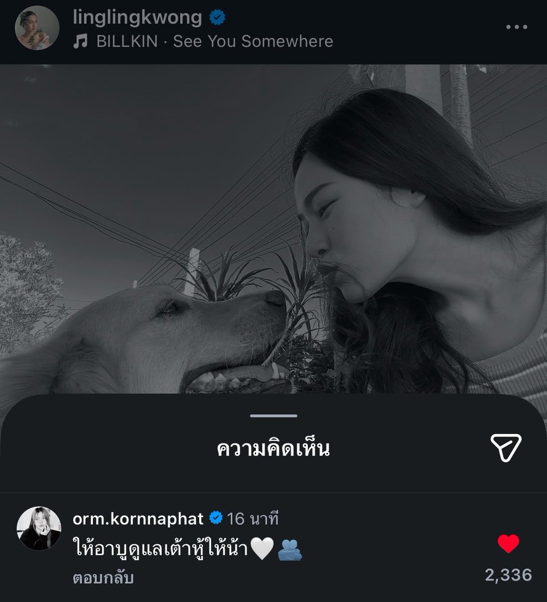 𝓂𝓎³⁹🌸 tweet media