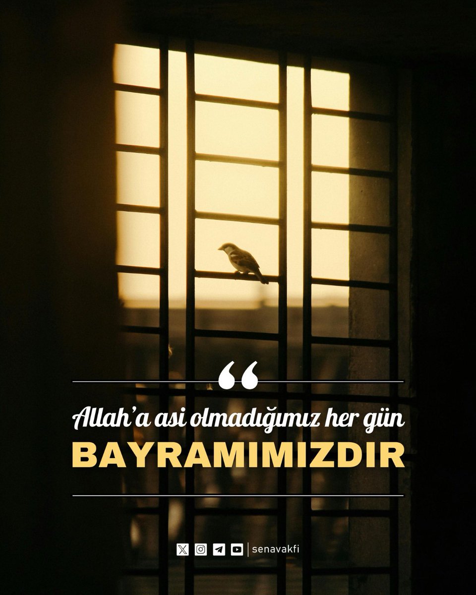 senavakfi's tweet photo. https://t.co/HCIbBvdo6P