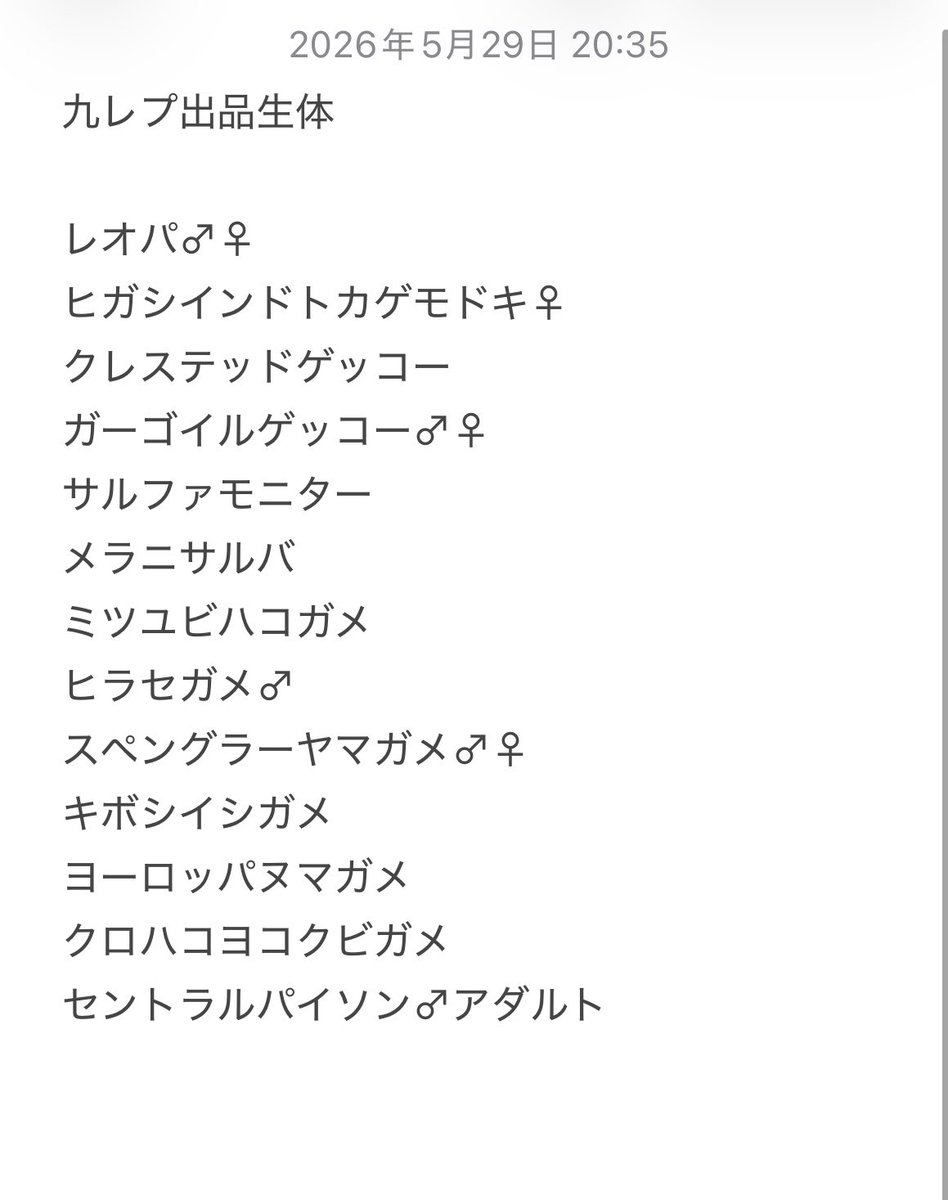 leopanojinya's tweet photo. 多分こんなもん！！

バデンホソユビとヤミイロホソユビはお留守番します。
もし本気で検討してる方いればご連絡ください。 https://t.co/qrCkwu7HBf