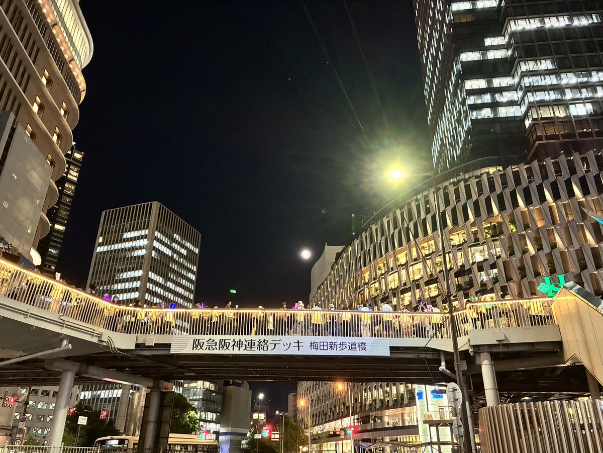 OuiNon🐾戦争反対 tweet media