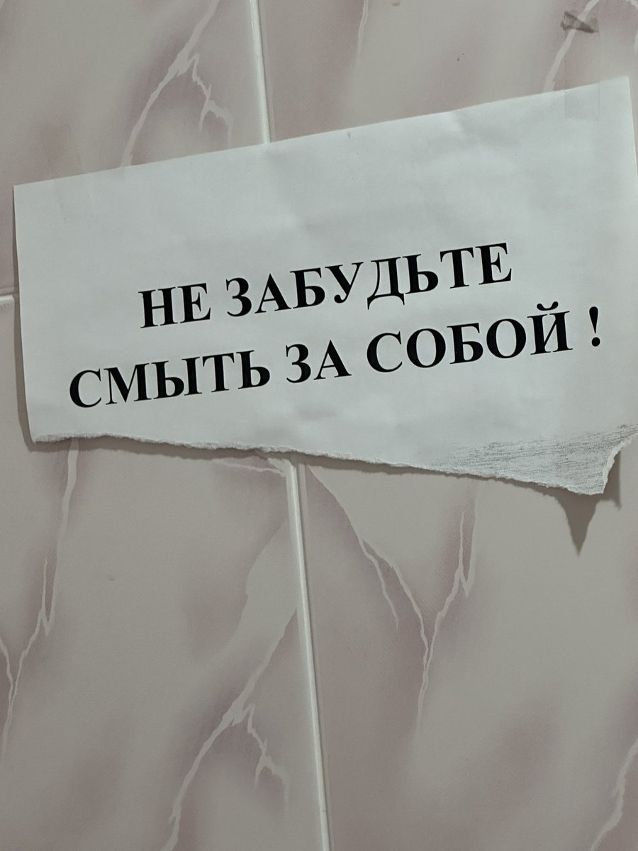  𝜗𝜚˚⊹великий и тупой⁷🪭 tweet media