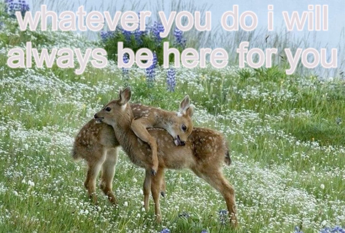mfing deer girl 2sday tweet media