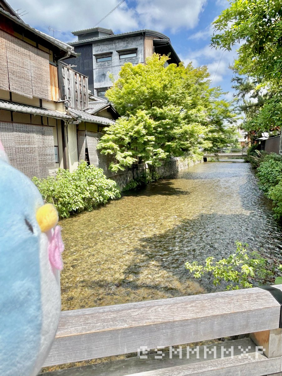 smmmmxp's tweet photo. 京都旅行最終日は1日目雨で回りきれなかった祇園周辺へ🏮この日は晴れたから町並み綺麗だった✨中庭が綺麗なカフェで休憩して、お昼は鴨ひつまぶしのお店へ！日本人我々だけ！？てなる不思議空間でした🤣暑かったから今年初かき氷もおいしかった〜❣️久々の母と2人旅行なんだかんだ楽しめてよかった🥰 https://t.co/Zr2LDv4QWB