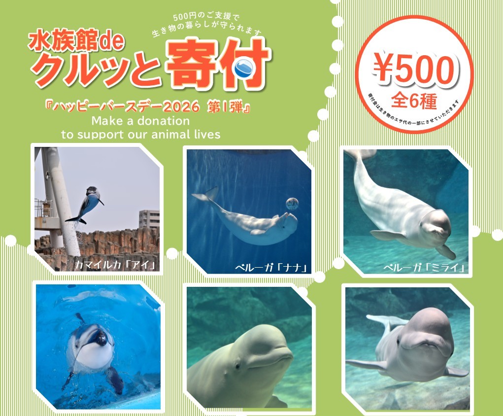 生き物の暮らしを応援いただく「#水族館deクルッと寄付」の返礼品に