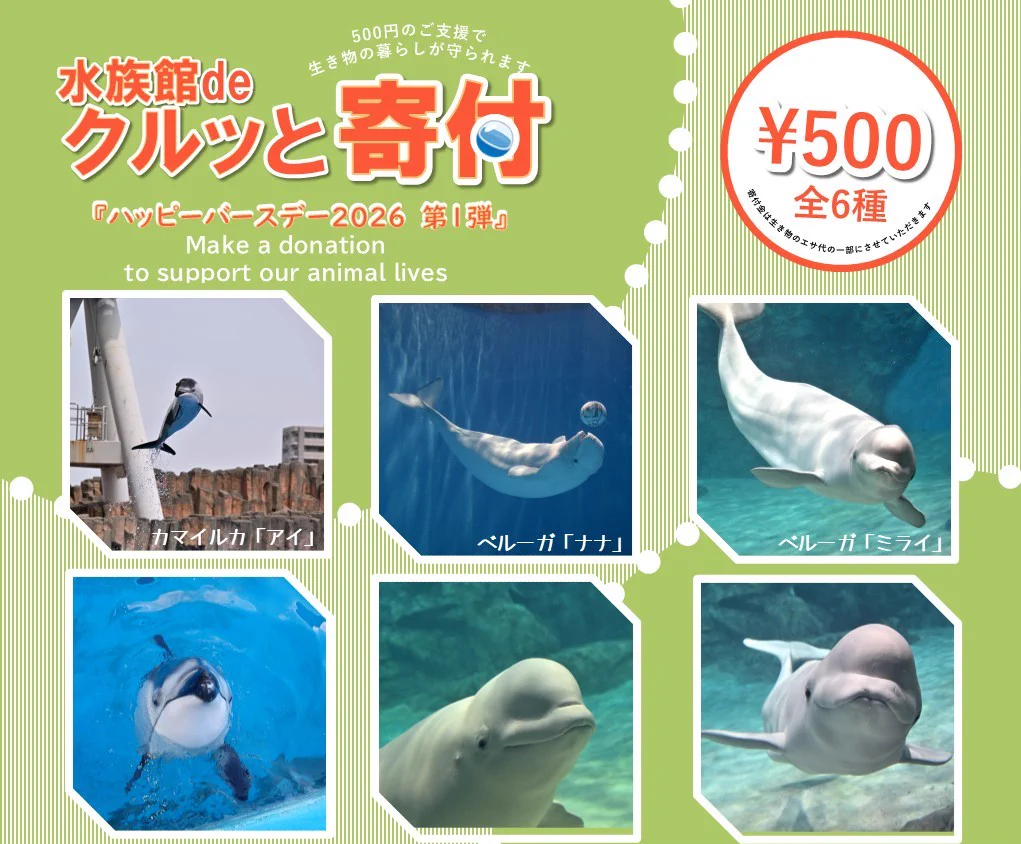 名古屋港水族館 on X: 