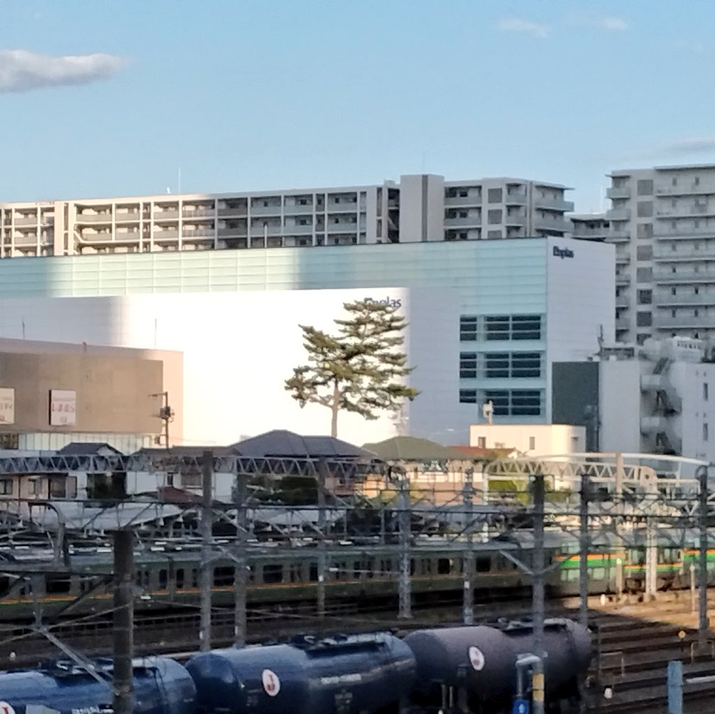 design_saitama's tweet photo. 新都心の旧中山道のけやき並木が伐採された中、
奇跡の一本松のようにここだけ残った
ムクドリ対策か何かで切ったかと思ったら
新たに植栽するようだ
西口側から見るとエンプラスの無機質な壁を緑が和らげる(偶然？) https://t.co/UsH462z403