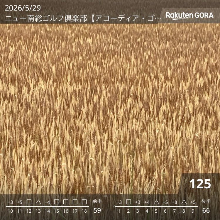 printscreengozt's tweet photo. たくさん球を打ちました
コスパ最高
楽しかった

現実を叩きつけられ
ラウンド中楽しめなかったけどそんな自分を見つめ直して笑えてきました

　　　数字を見る度笑みが溢れる

つまり
楽しかったです

何も得たものはありませんでしたが
楽しかったです

ひとつ楽しくないのは
フルスイングできない事 https://t.co/1WYi9UfdeF