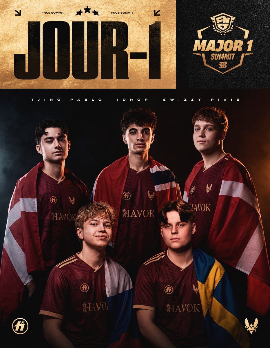 HavoK by Vitality tweet media